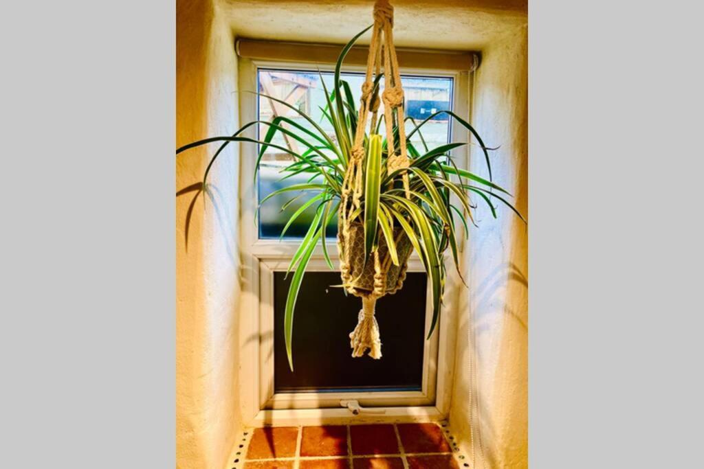 The Cave At Pure Shores Retreats * Newquay (Cornwall)